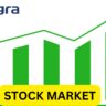 Integra Essentia Share Price