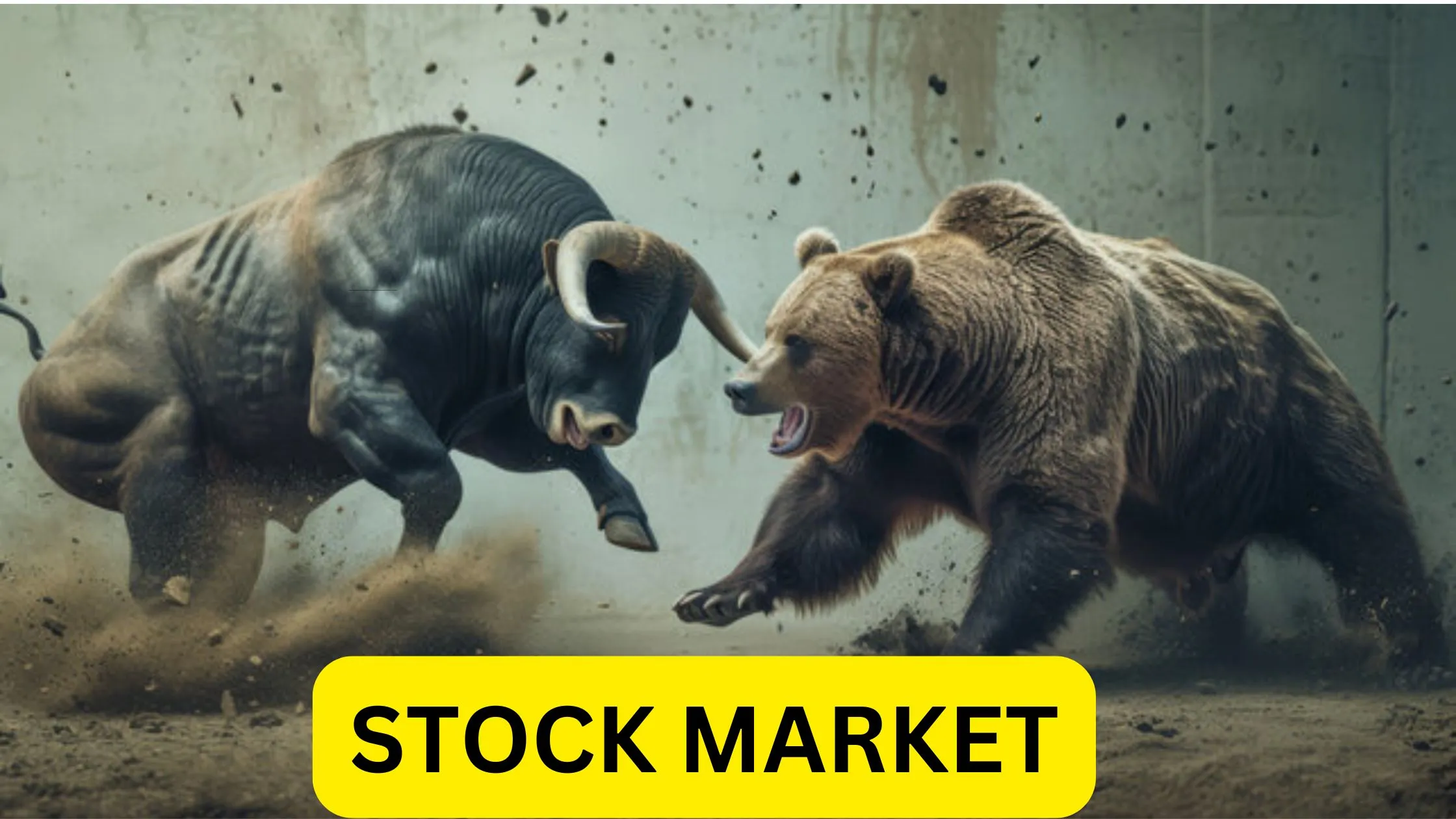 Stock Market
