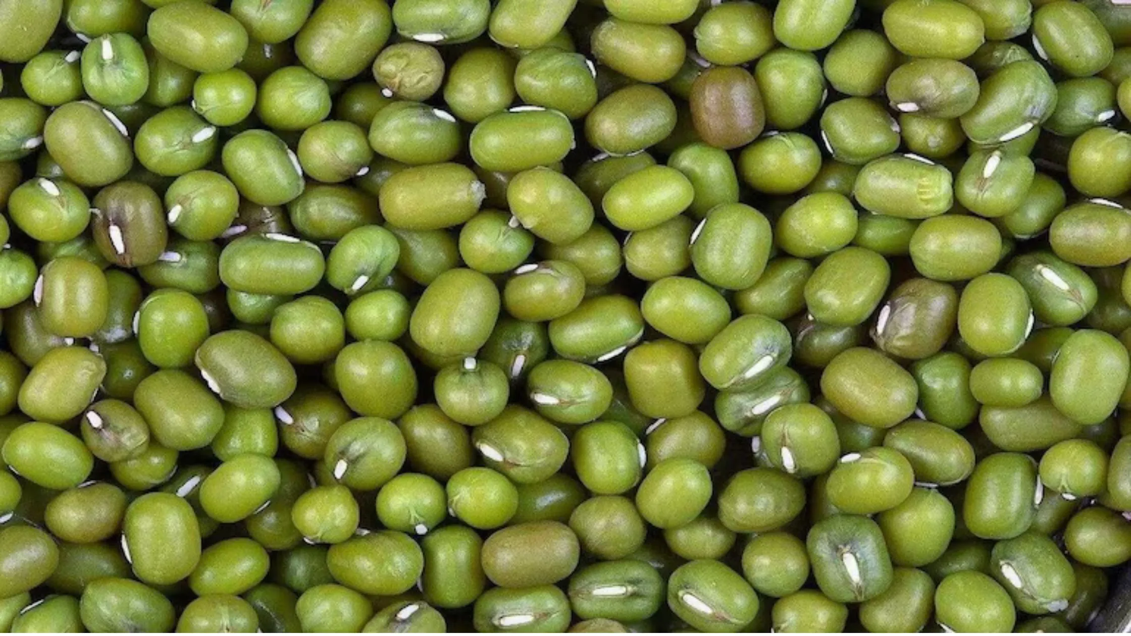 मूंग दाल