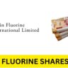 Navin Fluorine Shares