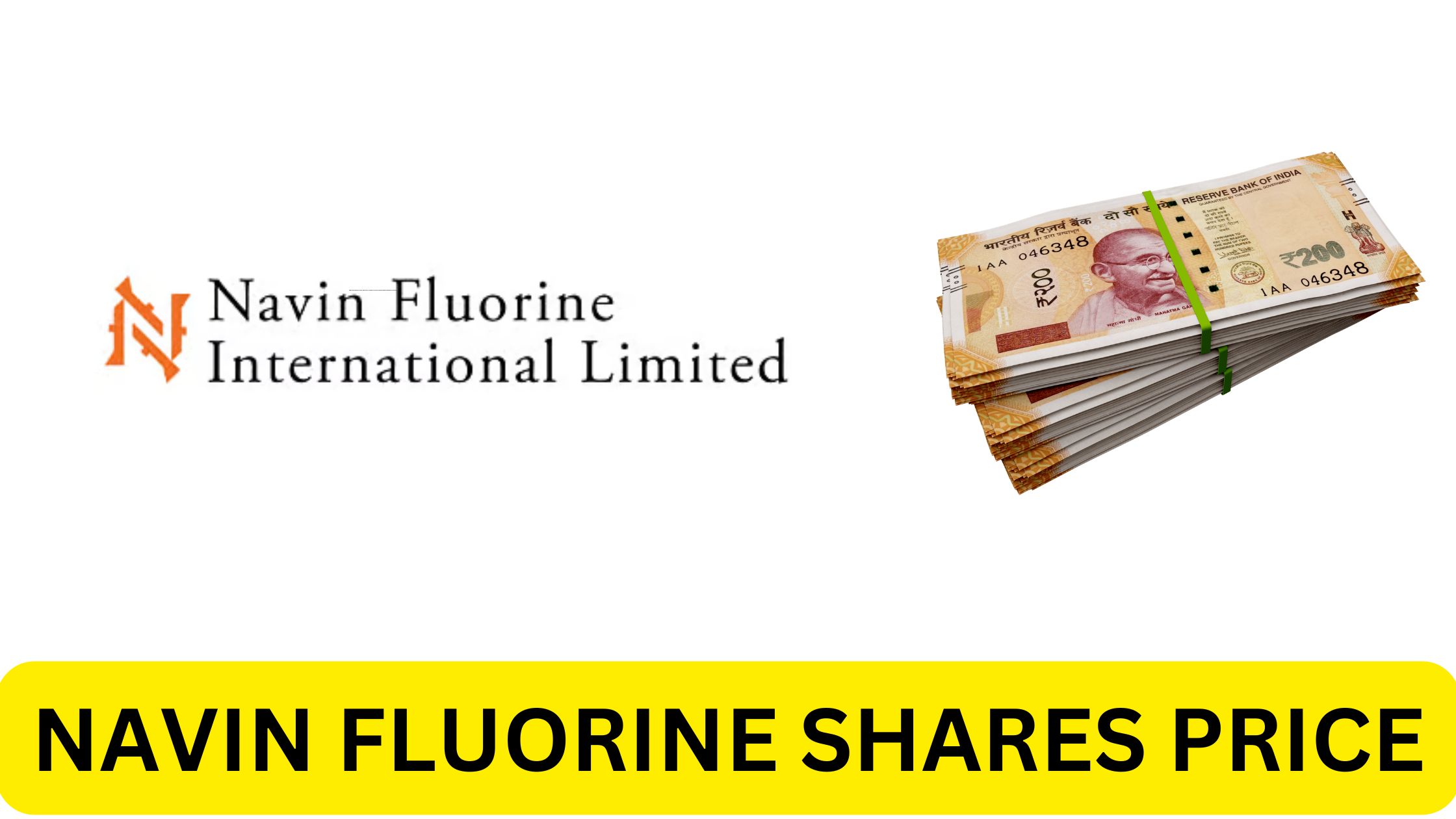 Navin Fluorine Shares