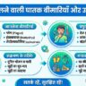 चूहों से फैलने वाली 5 सबसे खतरनाक बीमारियां: लक्षण, कारण और मौत का खतरा