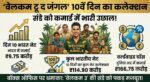 Welcome To The Jungle Box Office Collection Day 10